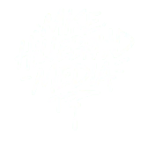 Mike Hillebrand Media